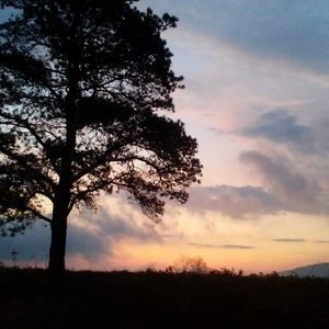 Feel free to make offers on anything!!